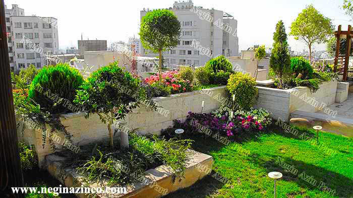 بام سبز